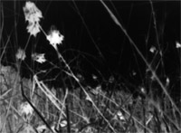 Ausstellungsbild